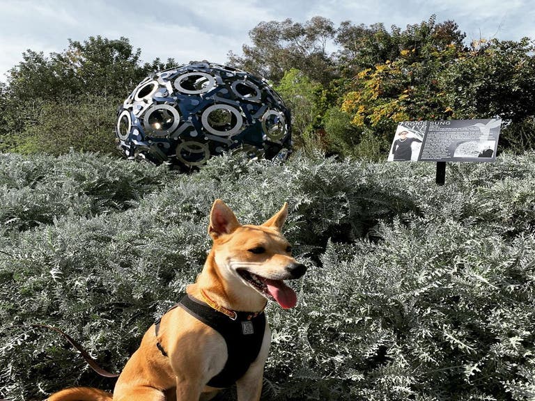 Dog Walking Hours at South Coast Botanic Garden