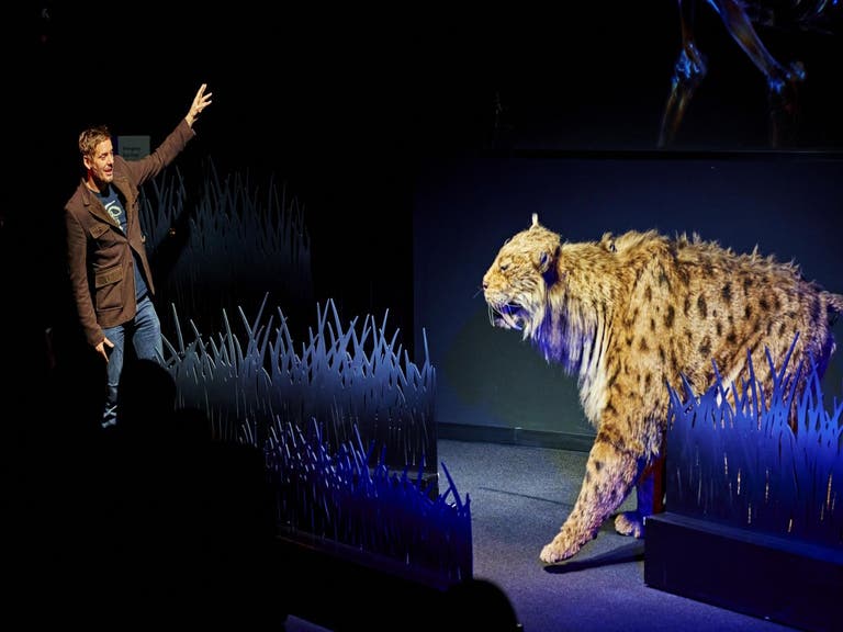 Saber-toothed cat from Ice Age Encounters at the La Brea Tar Pits
